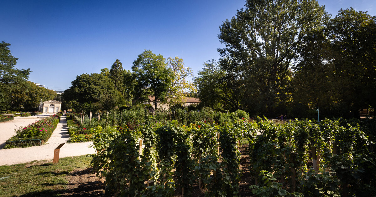 Jardin botanique des saveurs et des cépages
