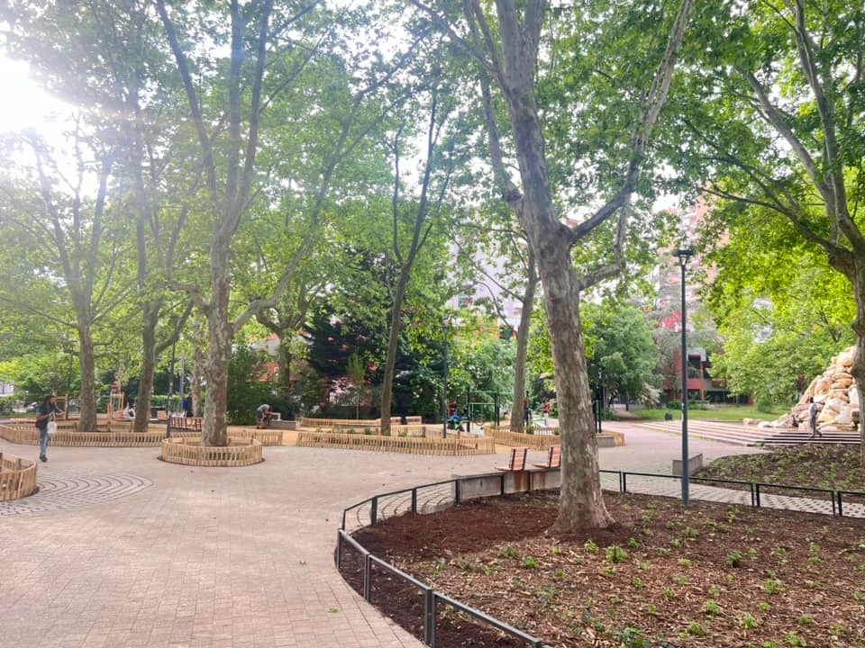 10 000 nouveaux arbres plantés