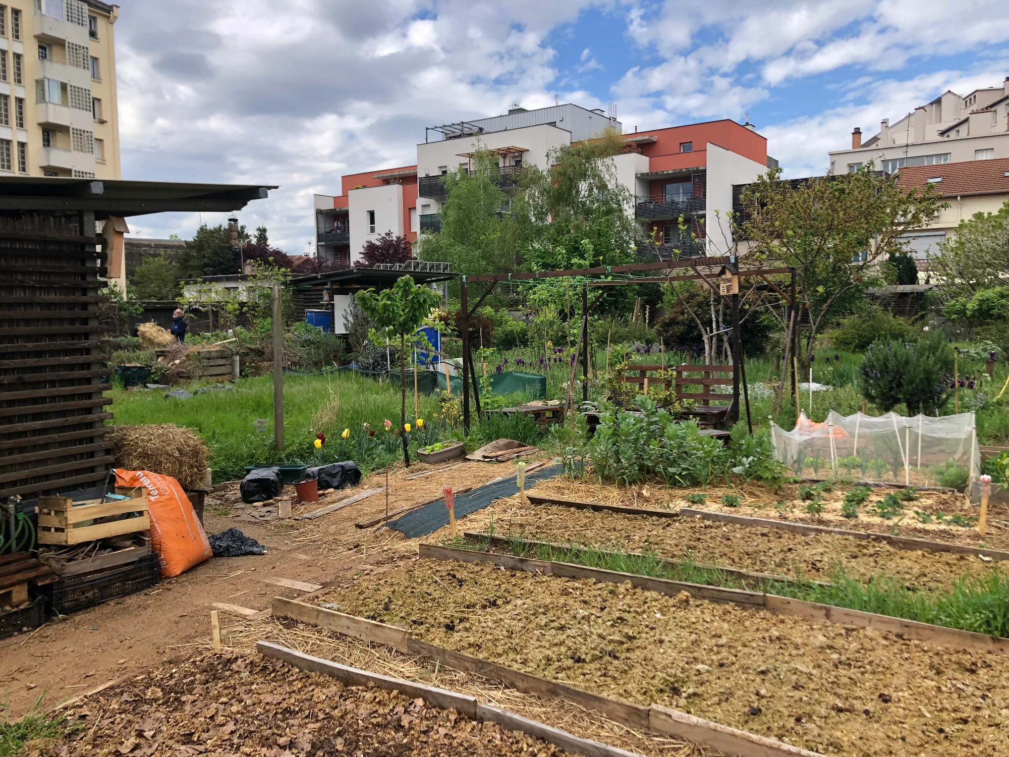 une mare dans le jardin partagé de la Filature