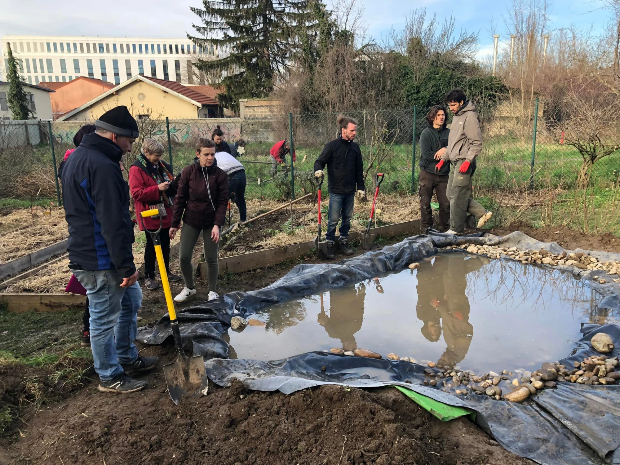 une mare dans le jardin partagé du Vert Luizet