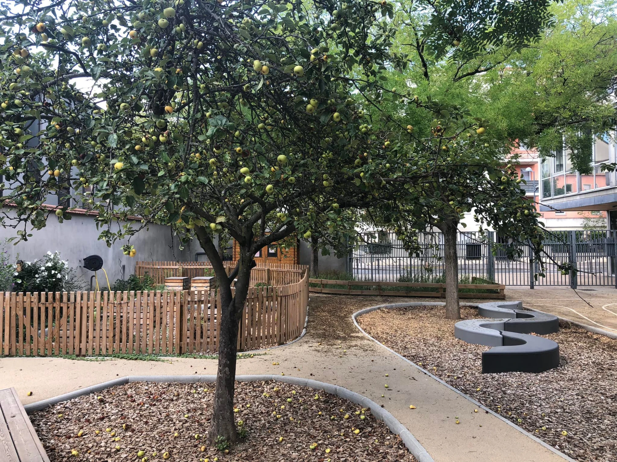 végétalisation  du Groupe scolaire Antonin-Perrin