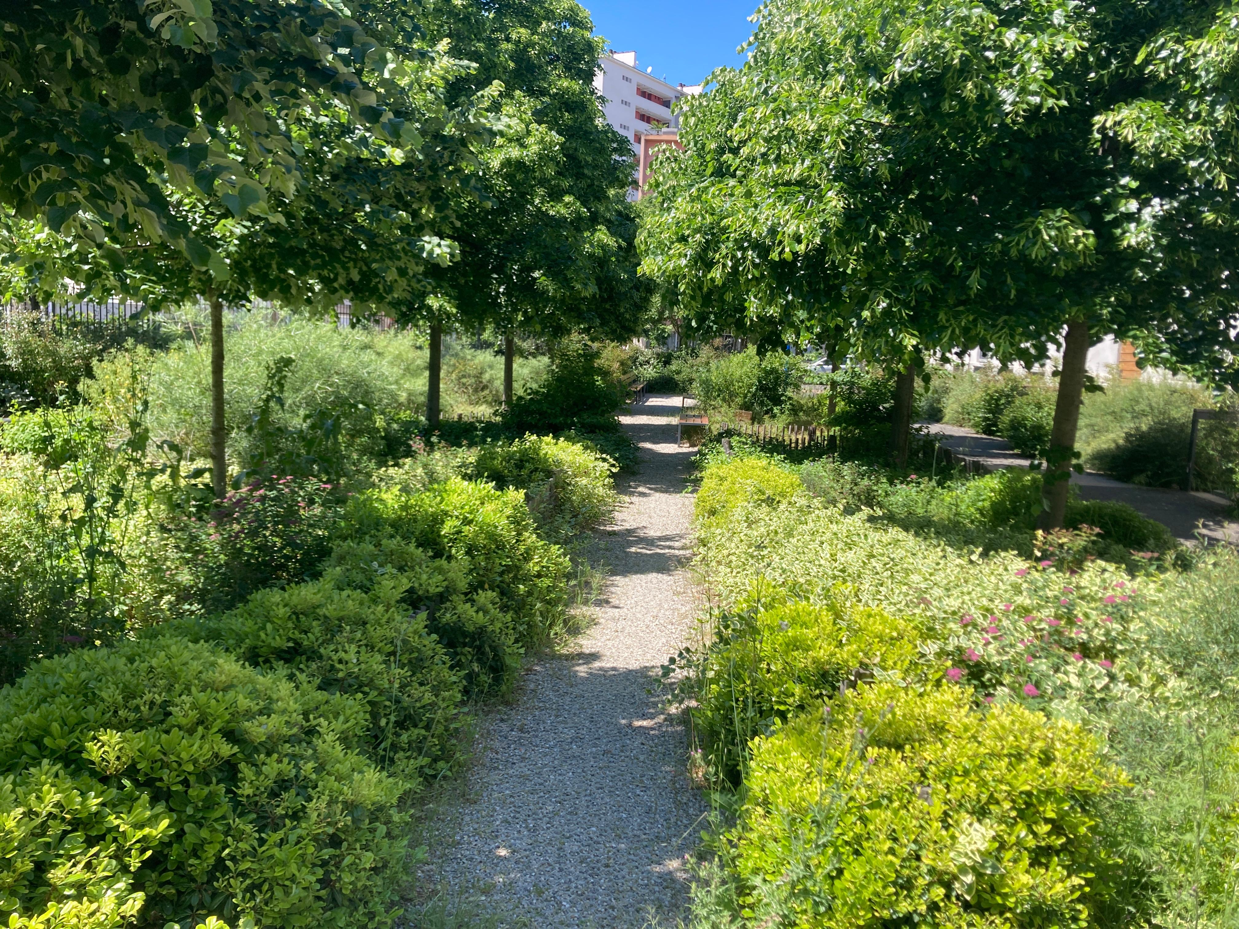 Végétalisation du parvis du Rize