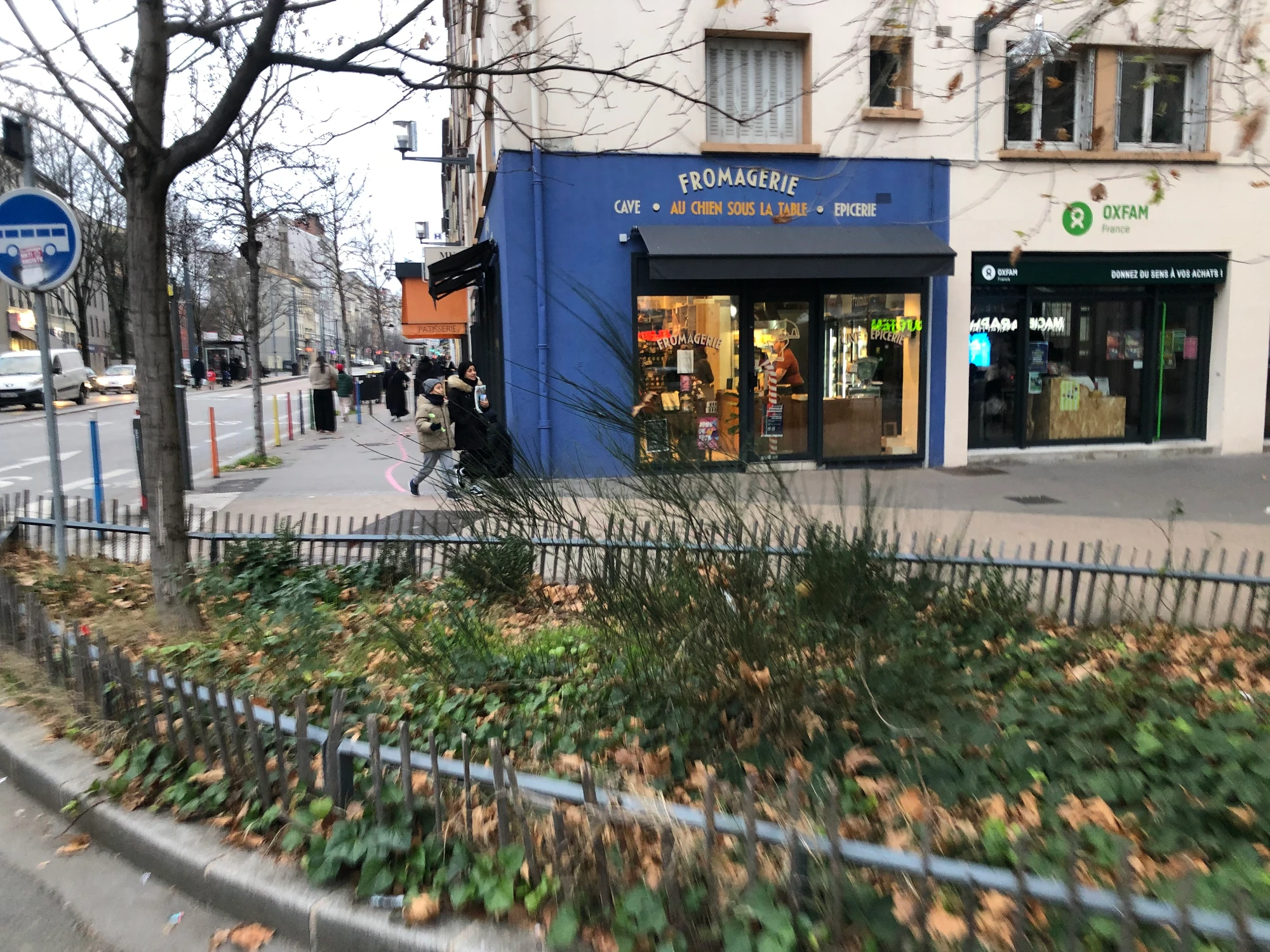 Revitalisation du Cours Tolstoî